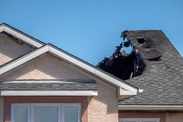 Top rated local Odor Removal specialists in Frederick, MD